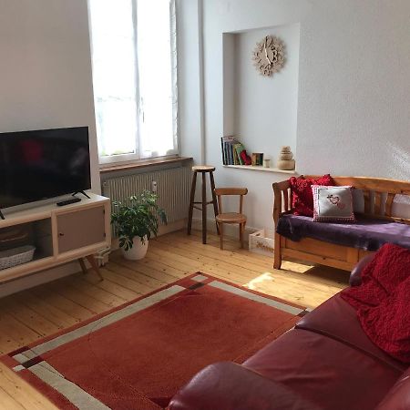 Le Clos Des Iris - Gite Rural 95 M2 Tout Confort En Alsace Bossue Domfessel Bagian luar foto